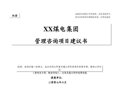 XX戰略建議書